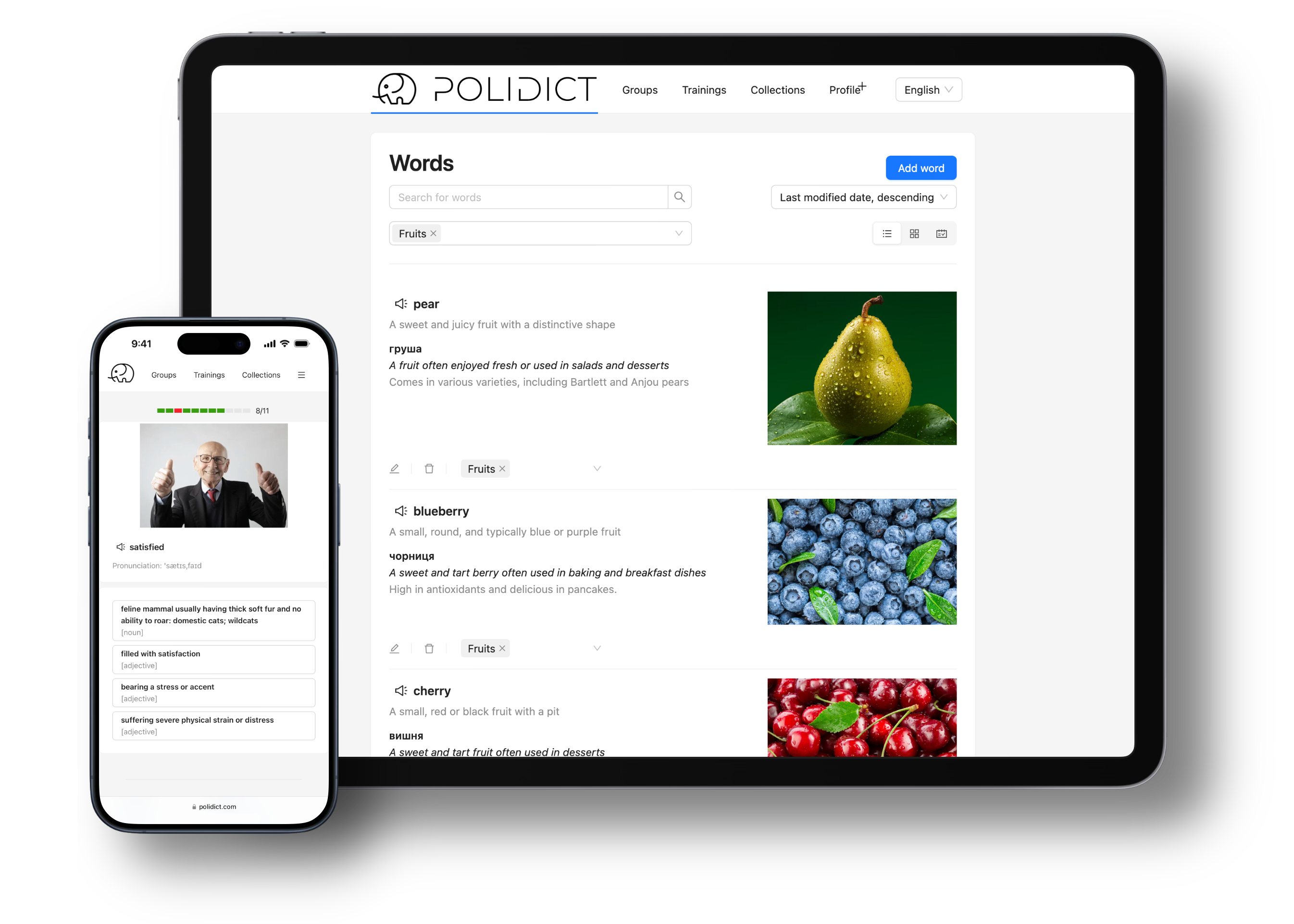 Polidict screenshots